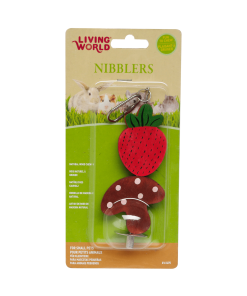 Fraise et Champignon en bois sur tige – Living World
